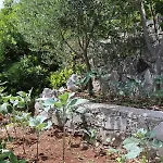 Apartman Apartments By The Sea Kabli, Peljesac - 10221 Brijesta