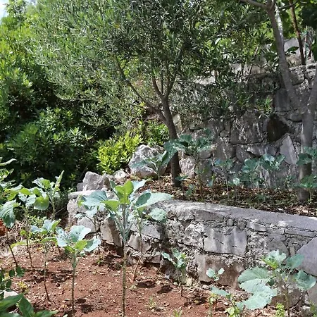 דירה By The Sea Kabli, Peljesac - 10221 Brijesta